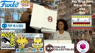 POP KING PAUL  MYSTERY BOX | 6X DAMAGED CHALLICE COLLECTIBLES MYSTERY BOX | POPINABOX SDCC MAIL