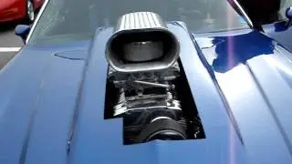 MOV00634
