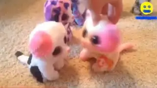 (REUPLOAD) NO! - Beanie Boo Music Video