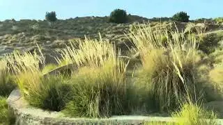 Gohrak Hill Station Murree of Sindh Balochistan and Sindh 0 Line 