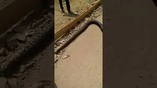 Ular Raksasa monster snack