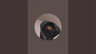 Yxo Arlo is live!