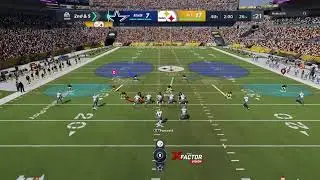 Steelers Theme team Madden 21