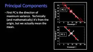 Principal Components