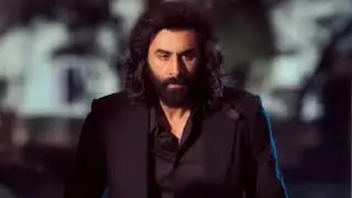 animal ka all India collection pura Dhamal hai