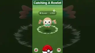 Catching Rowlet! (Pok&egrave;mon Go!)