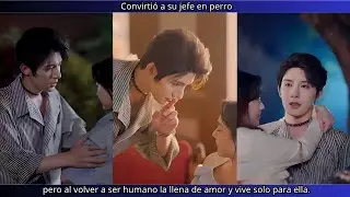 Convirti&oacute; a su jefe en perro, pero al volver a ser humano la llena de amor y vive solo para ella.