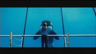 euronews cinema - 