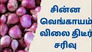 ஒட்டன்சத்திரம் மார்க்கெட் தொடர் வீழ்ச்சி வெங்காயம்