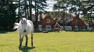 Beaulieu Hotel, Lyndhurst, UK | Holidays In Europe