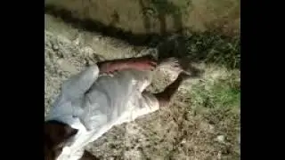 Video0047
