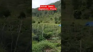 Dolok Imun, Tapanuli Utara #Dolokimun #tapanuliutara