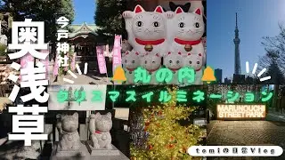 tomiの日常Vlog【😺猫好き必見😺奥浅草今戸神社/スカイツリー/丸の内クリスマスイルミネーション】