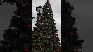 Templeton, Vancouver Christmas tree 🌲🎄❤️