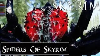 Skyrim Mods: Spiders Of Skyrim Black Edition