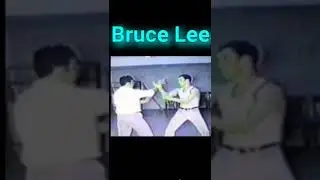 Bruce lee real fight
