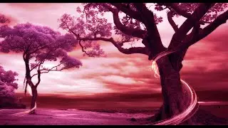 Romantic Scene with Interruption, by Alekos Maniatis. Score view.