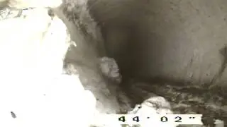 Sewer Pipe Video Camera Line Inspection - PlumbSmart Plumbing