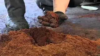 How to Use SpillFix Absorbent & Sweeping Compound