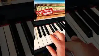 Night Birds - Shakatak #piano #pianonotes 🎹🎶