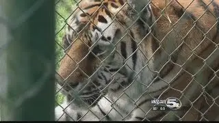 Zookeeper: Mobile Zoo is 