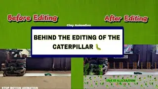 Behind The Scenes - Caterpillar Evolution #stopmotionanimation