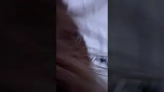 S&ouml;rli der Isl&auml;nder 26 Jahre die 7.