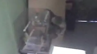 The great sloth escape plan.
