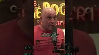 Joe Rogan on the strength of chimpanzees #joerogan #shorts