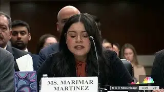 Chicago woman shot by ICE testifies in Congress