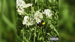 Arenay - Pollen