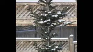 Canon HF200 vs HV30
