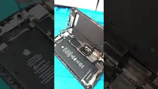Celular molhado!