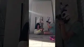 first try #music #fursuit #фурри #dance #furr #antifurry #furry #furrie #fursona #fursuiters