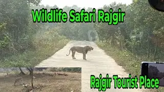 A trip to Rajgir | Wildlife safari Rajgir | Hot well |