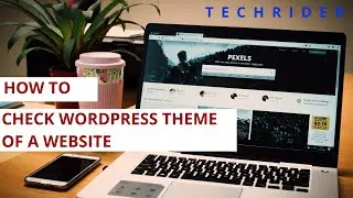 HOW TO CHECK THEME OF A WORDPRESS WEBSITE | TECH RIDER