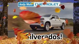 Andy Mohr - November 2021