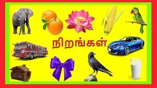 நிறங்கள் அல்லது வண்ணங்களின்  பெயர்கள்| Learn colours in Tamil for Kids and children