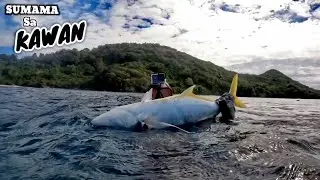 JUMBO TALAKITOK | Subrang kapal KAWAN na aabot sa DALAWANG TONILADA