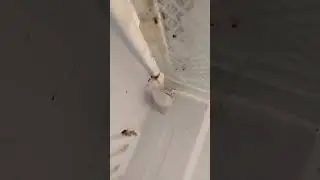 refrigerator ice problem fix