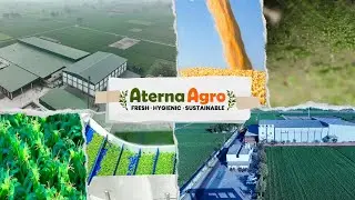 🌱 Aterna Agro: 50+ Years of Excellence in Agri Commodities & Sustainable Farming 🌾