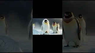 PENGUIN SURVIVAL#penguins #wildlife  #antarctica  #animalfacts  #survival