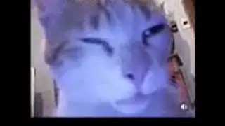 спидран балди (ЭТО НЕ ЧИТЫ, ЭТО СКИЛЛ!!!)