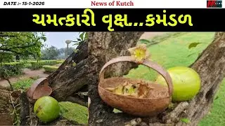 BHUJ SMRITIVAN |કમંડળ Monksbowl tree સબંધે જાણો અથ થી ઇતિ સુધીની માહિતી આવું વૃક્ષ ભુજમાં સ્મૃતિ...