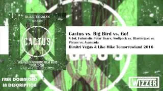 X-Tof, FPB, Wolfpack vs. Blasterjaxx vs. Avancada - Cactus vs. Big Bird vs. Go! (DV&LM Mashup)