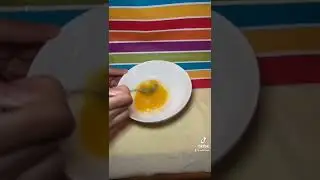 Feeding my ferrets *THIS* once a week