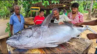 Wow Amazing!! 150 Kg Big Tuna Fish Market And Cutting Skills In Sri Lankan Village