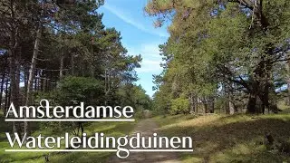 Wandeling Amsterdamse Waterleidingduinen (witte route) Zandvoort | 4K