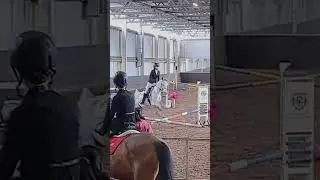 Давно меня не было #horse #gallopracer #equestrian #equestrianjourney #horsefan #pony #лошадки #hors