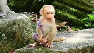 My lovely baby monkey!